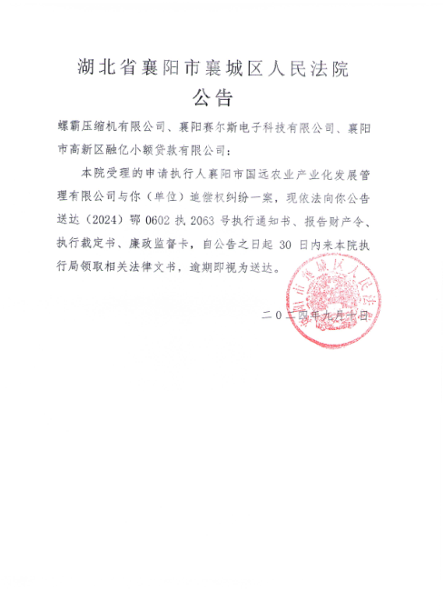 关于（2024）鄂0602执2063号执行公告.png